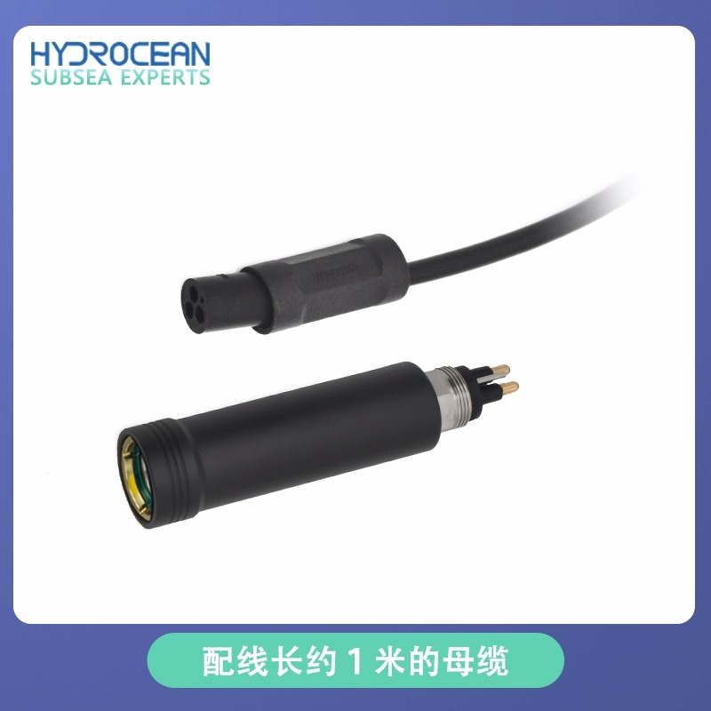 수중 조명 램프 M10 커넥터 남성형 3코어 ROV 로 - Outdoor Lighting Connectors 리뷰 및 가격